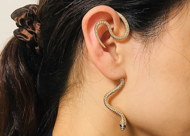 Snake Ear Pin