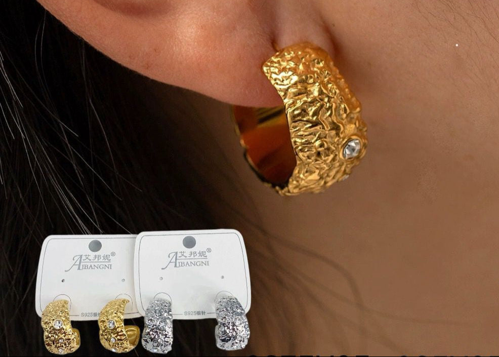 Pretty Small Earrings